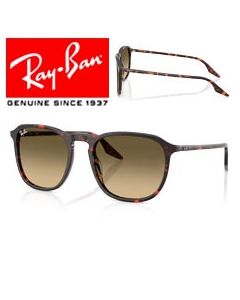2x Templi di ricambio originali > Ray-Ban 2203