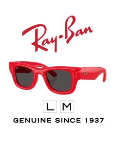 Occhiali da sole originali > Ray-Ban 4940 - Puffer 6831/87