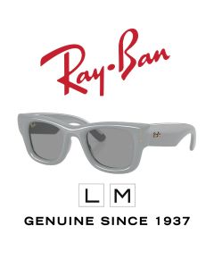 Occhiali da sole originali > Ray-Ban 4940 · Puffer 6876/1