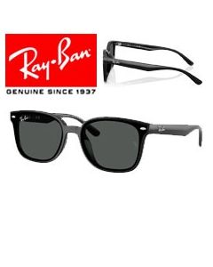 2x Aste Ricambio Originali > Ray-Ban 4461D