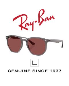 Occhiali da sole originali > Ray-Ban 4306 · 6873/75